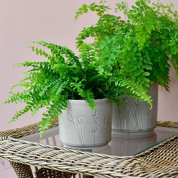 Burgon & Ball Provence Small Grey Glazed Pot - Image 5