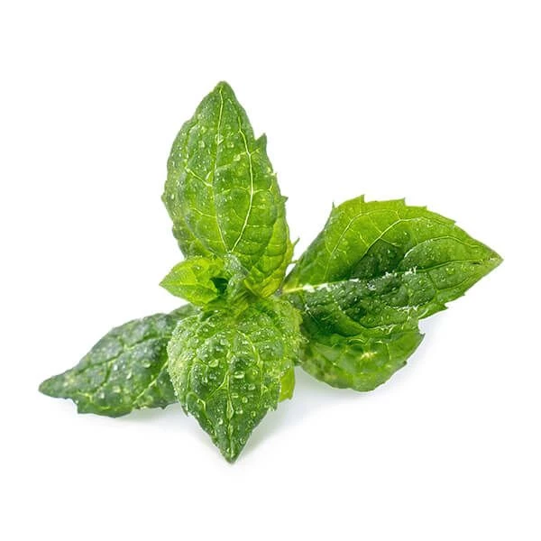 Veritable Spearmint Lingot - Image 2