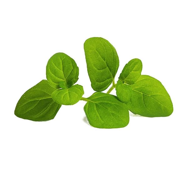 Veritable Icy Mint Lingot - Image 2