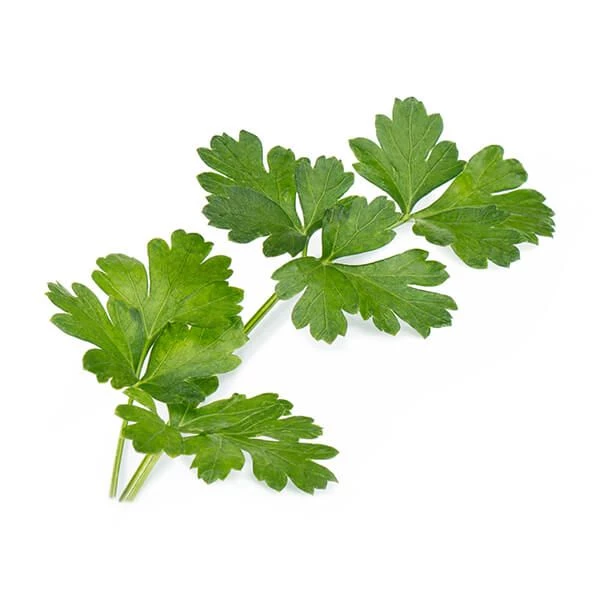 Veritable Organic Flat Parsley Lingot - Image 2