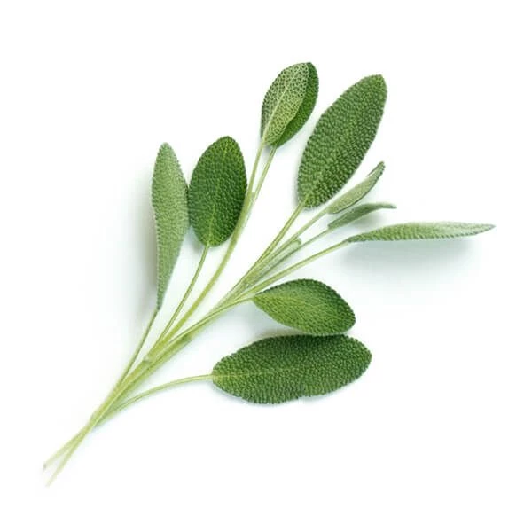 Veritable Organic Sage Lingot - Image 2