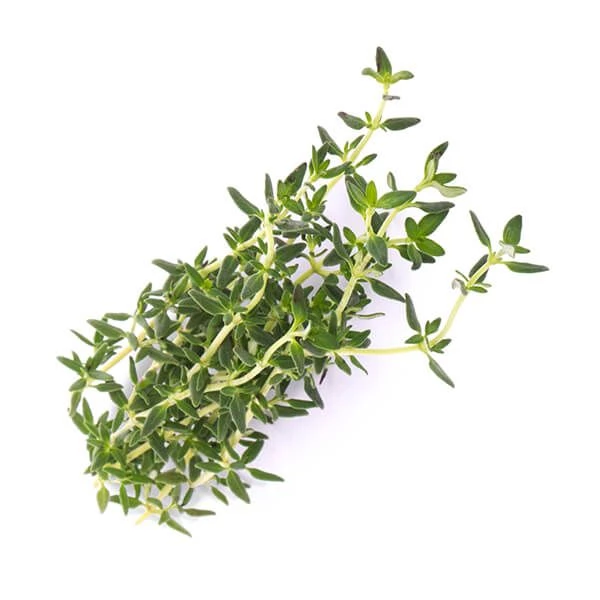 Veritable Organic Thyme Lingot - Image 2