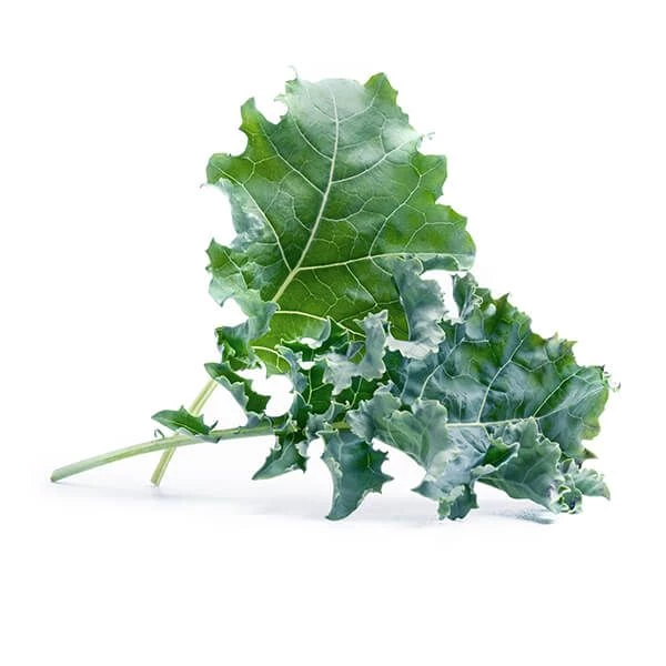 Veritable Kale Lingot - Image 2