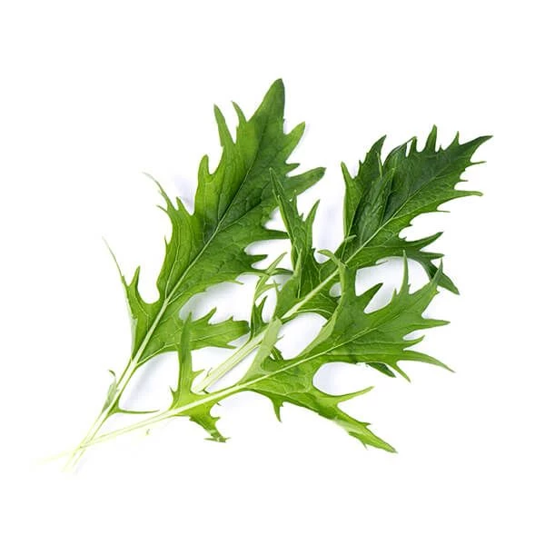 Veritable Organic Mizuna Lingot - Image 2