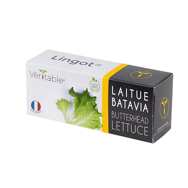 Veritable Organic Butterhead Lettuce Lingot