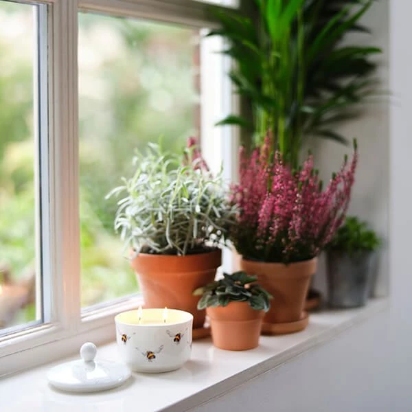 Wrendale Designs Wrendale By Wax Lyrical Hedgerow Ceramic Trinket Candle - Image 5