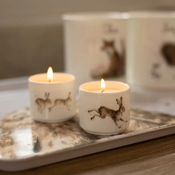 Wrendale Designs Wrendale By Wax Lyrical Meadow Candle Gift Set - Image 3